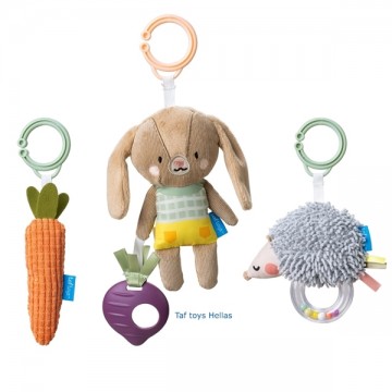 Taf Toys Παιχνίδια Δραστηριοτήτων Activity Toys Kit 13225